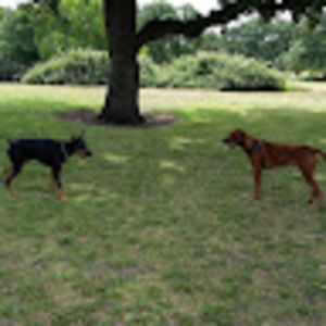 Meet your Posher, Brandon